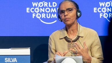 Marina Silva, Ministra do Meio Ambiente