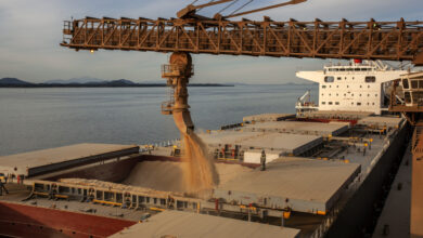 A soja lidera as exportações agrícolas no Porto de Paranaguá