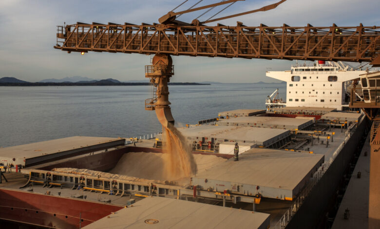 A soja lidera as exportações agrícolas no Porto de Paranaguá