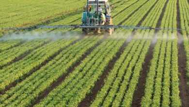 Custos com fertilizantes saltaram nos últimos anos