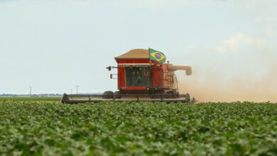 O Brasil é um dos grandes fornecedores globais de alimentos