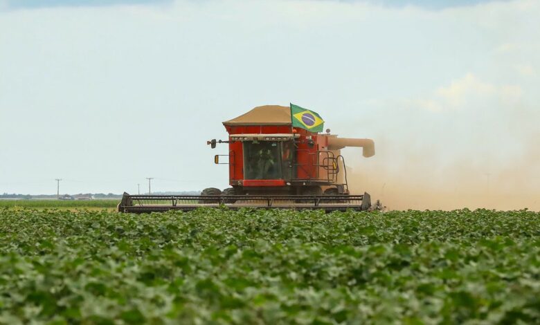 O Brasil é um dos grandes fornecedores globais de alimentos