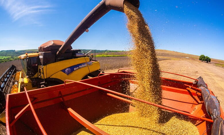 A soja é o carro-chefe do agronegócio brasileiro