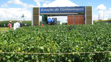 Estande da Embrapa, uma das antigas parceiras do Show Rural