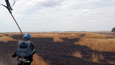 Invasão russa atingiu áreas agrícolas na Ucrânia