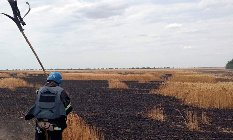 Invasão russa atingiu áreas agrícolas na Ucrânia