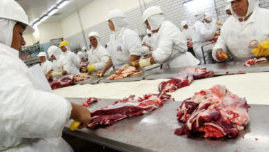 Indústria da carne do Brasil está entre as maiores do mundo