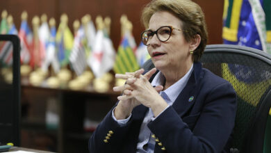 Tereza Cristina, foi ministra da Agricultura durante o governo Bolsonaro