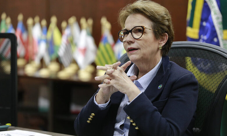 Tereza Cristina, foi ministra da Agricultura durante o governo Bolsonaro