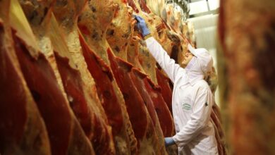 No ano passado, cerca de 60% das exportações brasileiras de carne bovina tiveram como destino a China