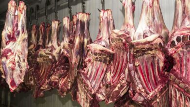 Brasil exportar milhões de toneladas de carne por ano