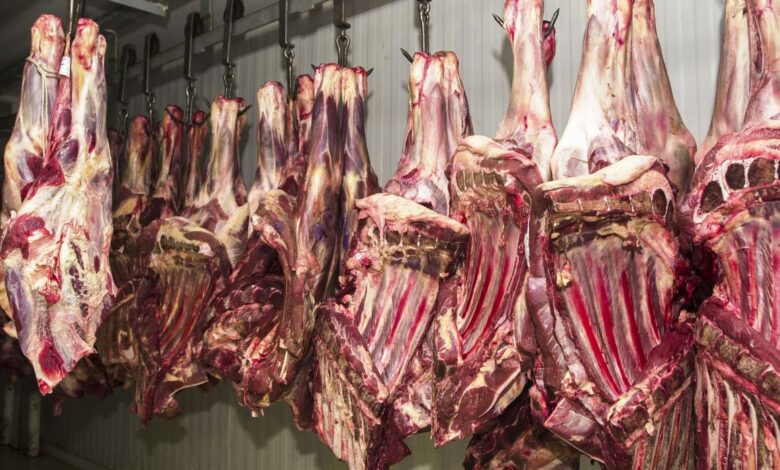 Brasil exportar milhões de toneladas de carne por ano