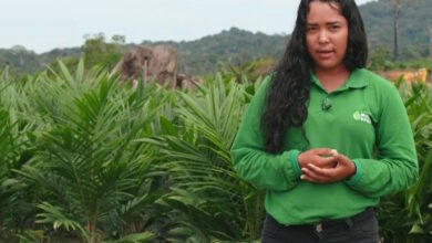 Ao 29 anos, Gerardine Carcia chefia uma equipe no plantio no cultivo de óleo de Palma