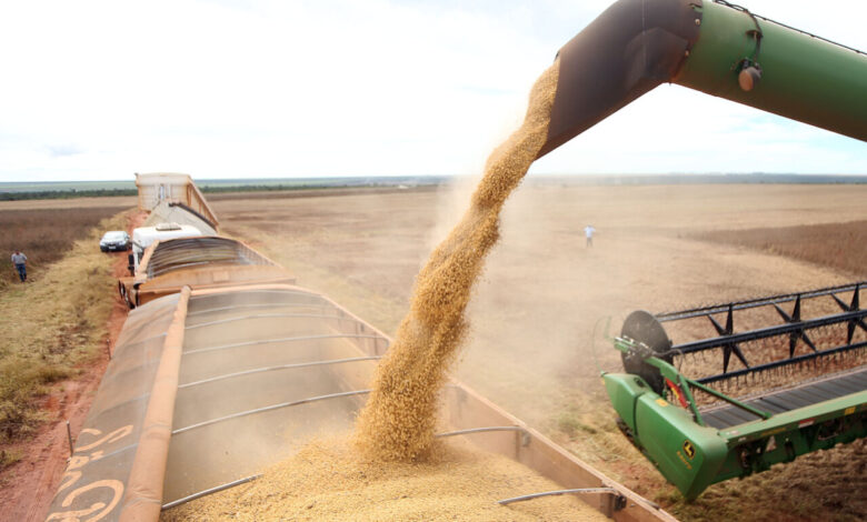 A soja lidera a produção agrícola do Brasil