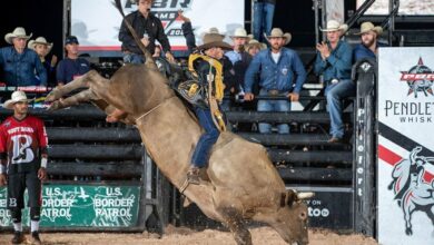 Brasileiros campeonato mundial touros