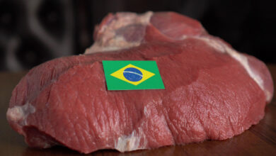 carne bovina - catar