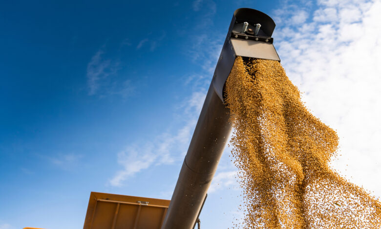 FGV agropecuária PIB Brasil