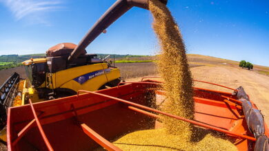 crescimento agropecuária brasileira