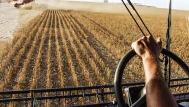 Agropecuária PIB Brasil