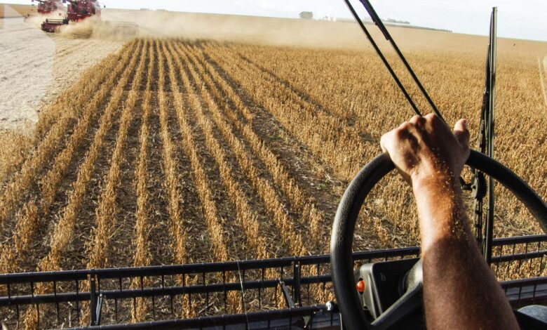 Agropecuária PIB Brasil