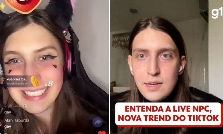 melhores streamers brasileiros｜Pesquisa do TikTok